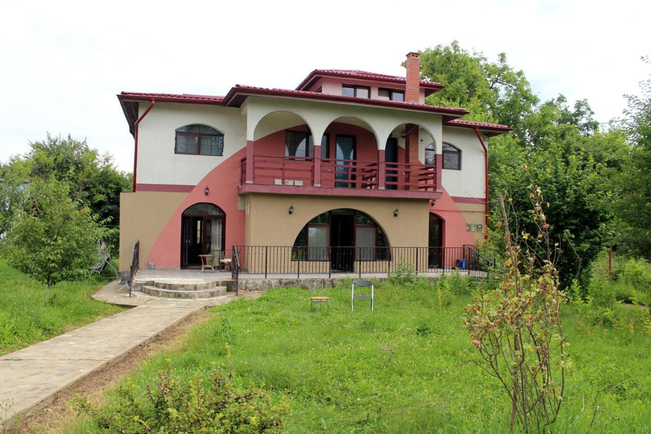 Anuta Hotel Breaza  Exterior photo